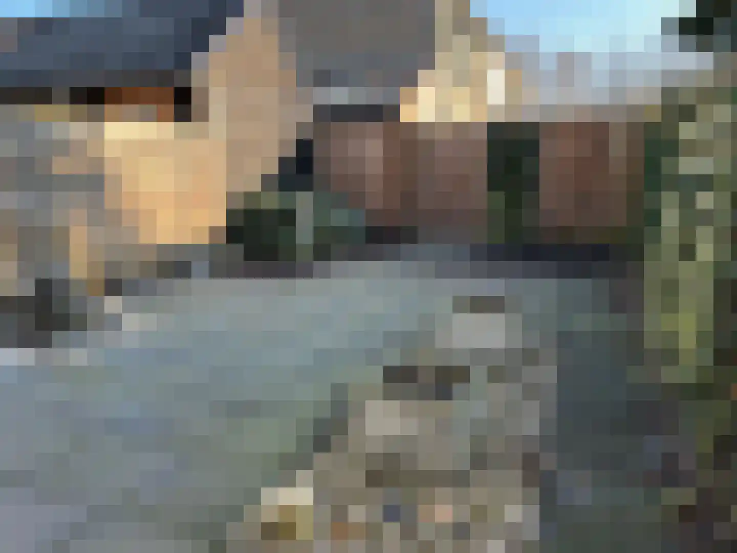 Pimpelmees 24 Emmen thumbnail 31