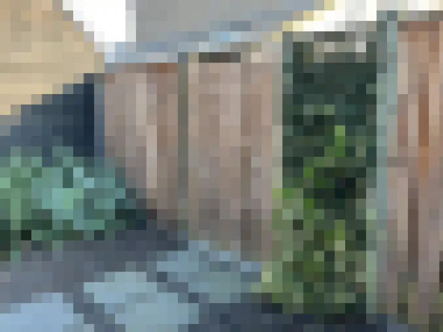 Pimpelmees 24 Emmen thumbnail 32