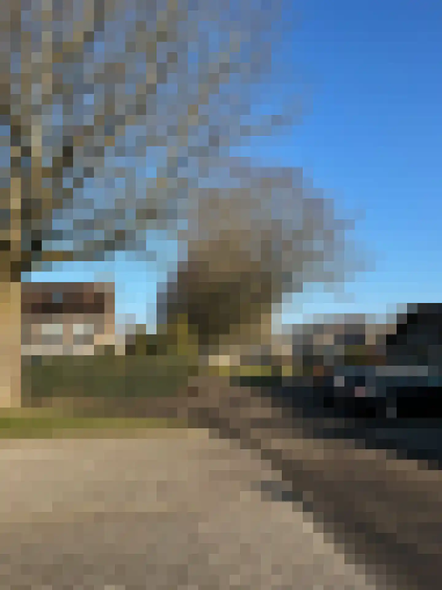 Pimpelmees 24 Emmen thumbnail 38