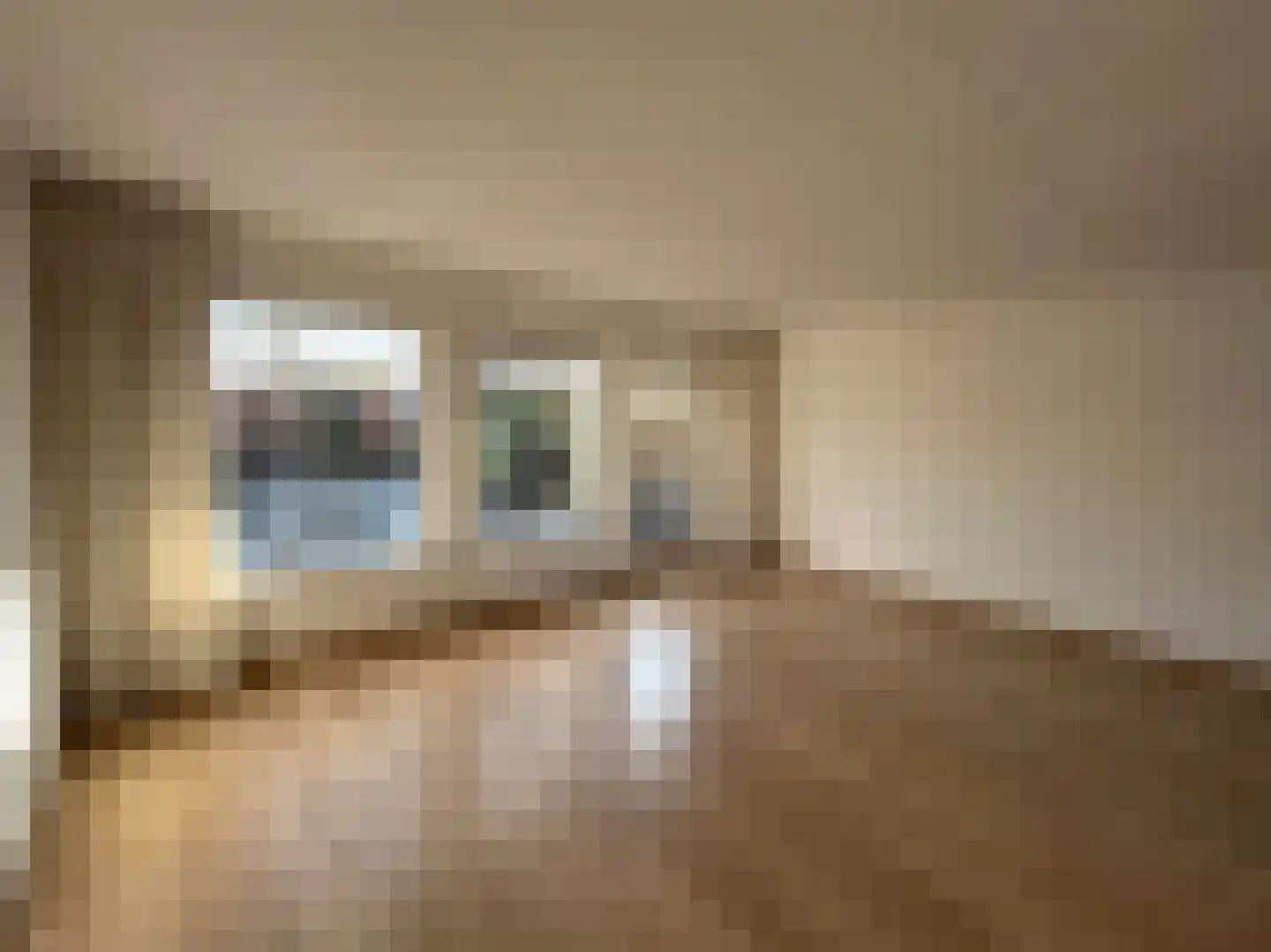 Pimpelmees 24 Emmen thumbnail 5