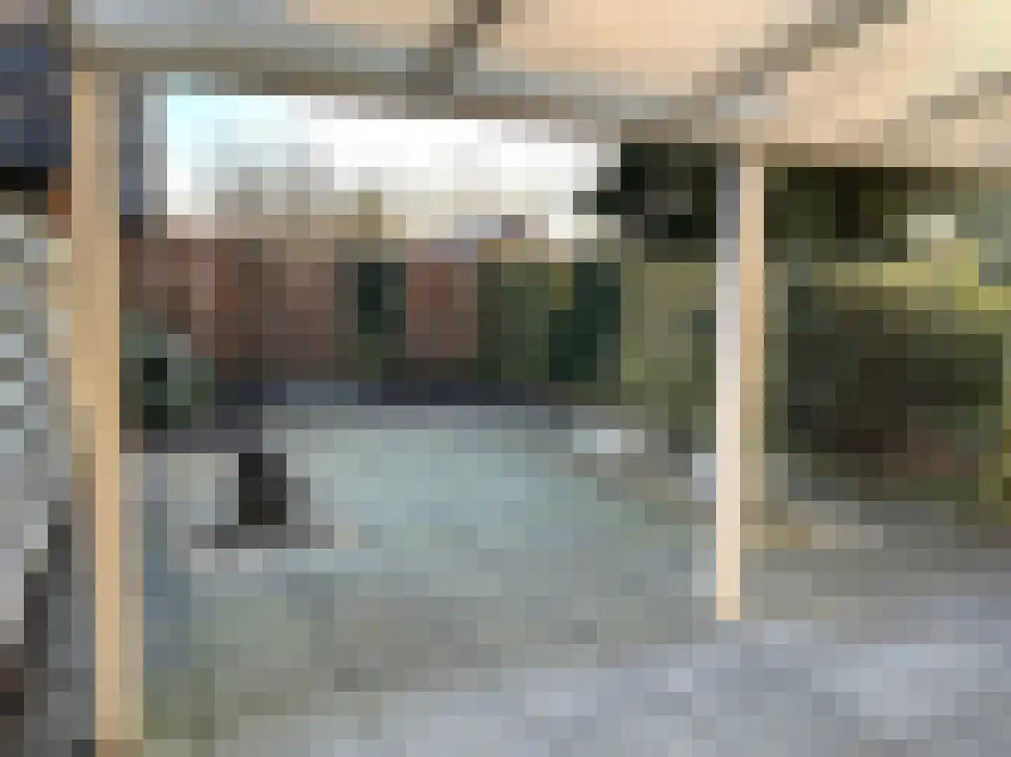 Pimpelmees 24 Emmen thumbnail 8