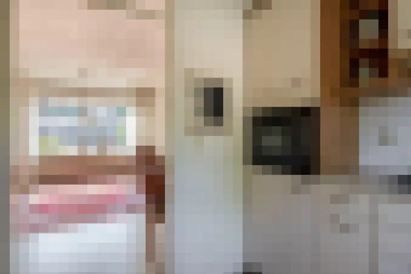 Pimpelmees 24 Sommelsdijk thumbnail 10