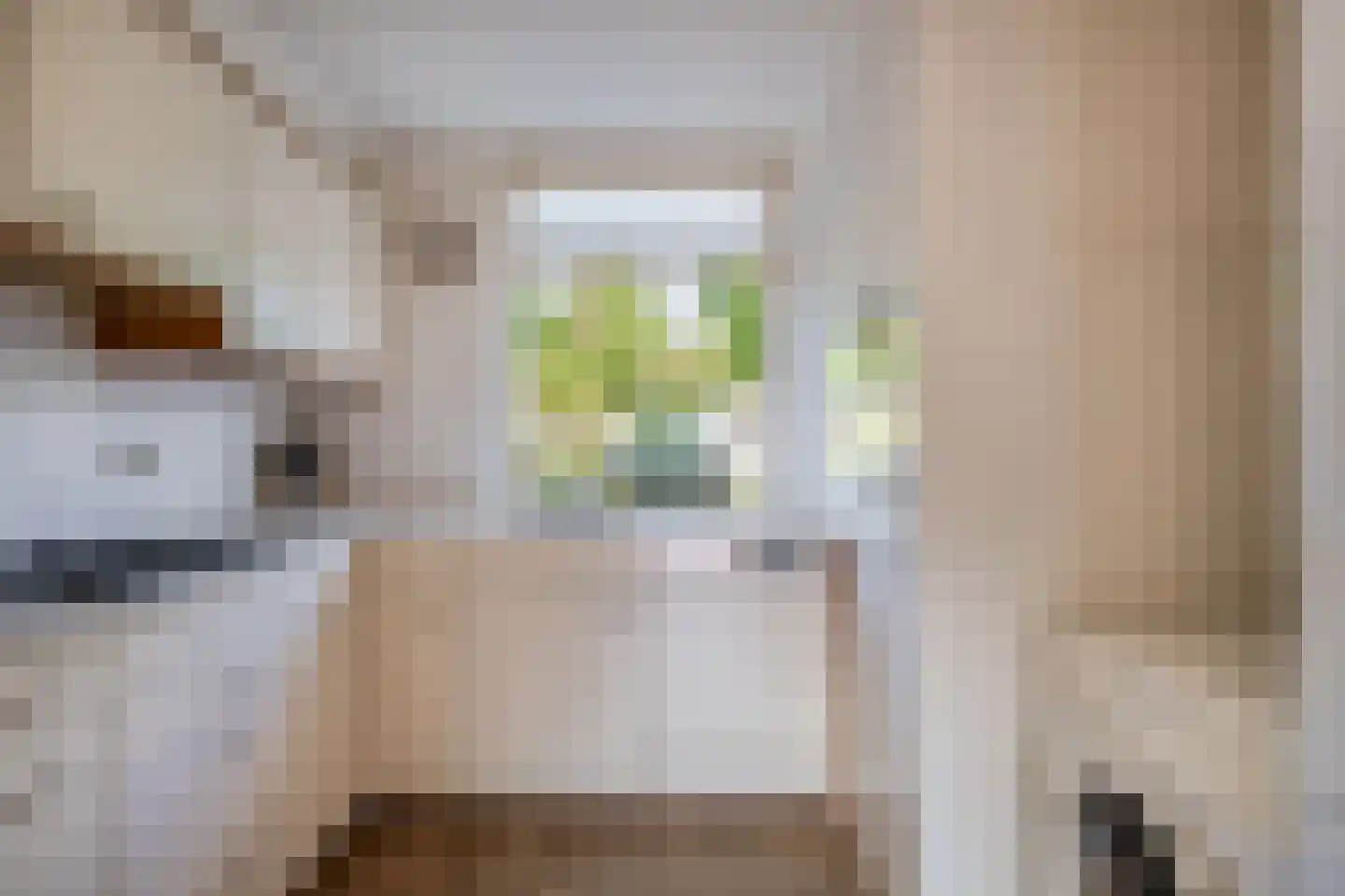 Pimpelmees 24 Sommelsdijk thumbnail 11