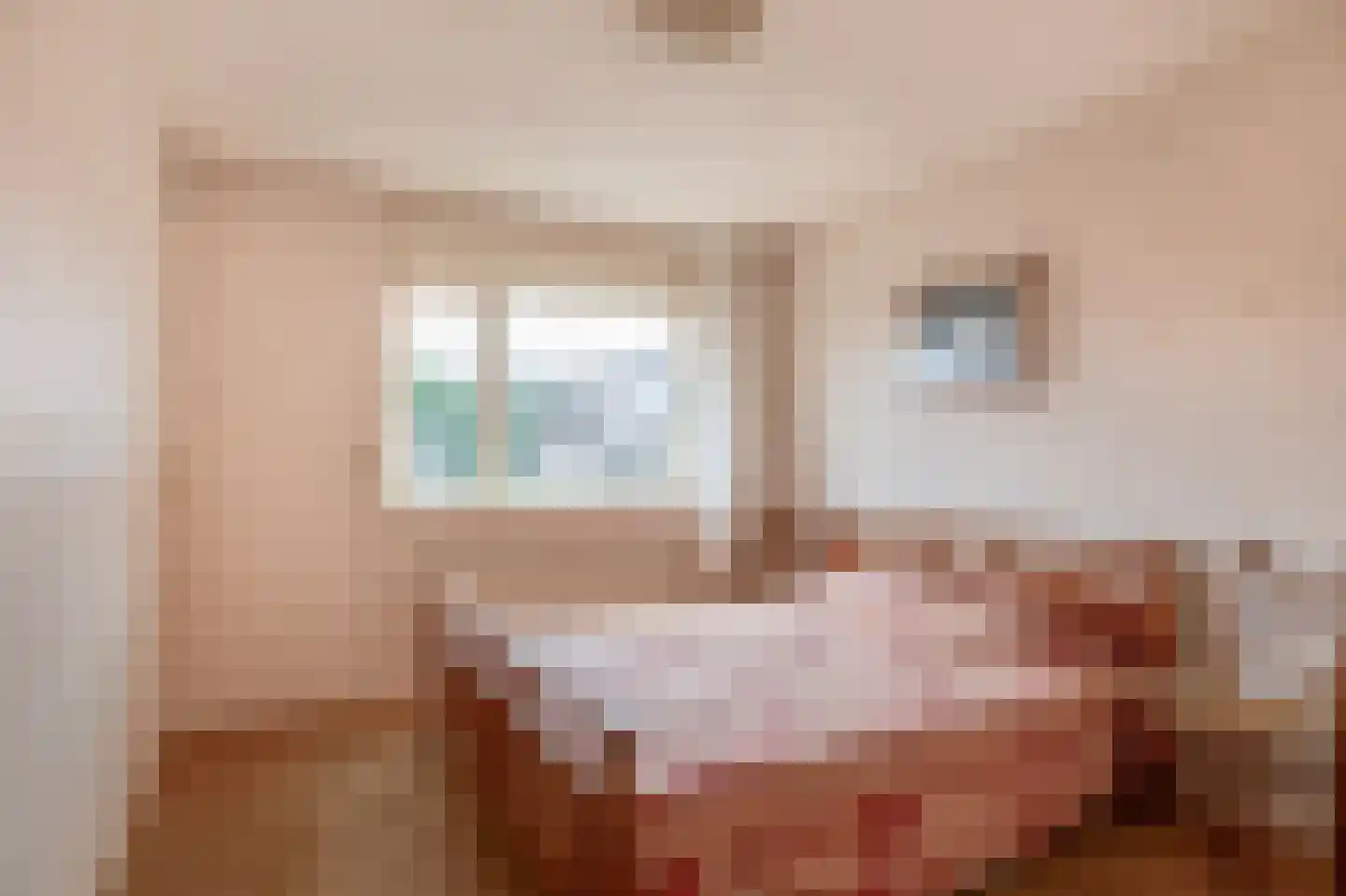 Pimpelmees 24 Sommelsdijk thumbnail 15