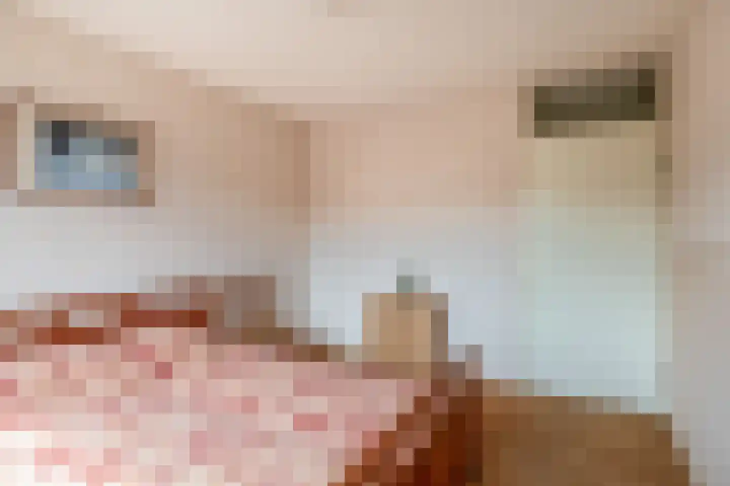 Pimpelmees 24 Sommelsdijk thumbnail 16