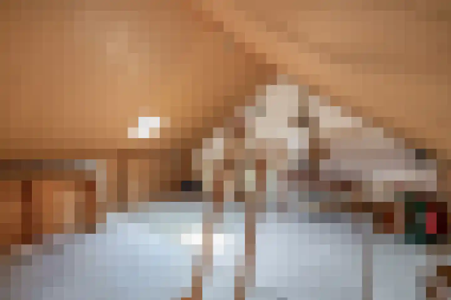 Pimpelmees 24 Sommelsdijk thumbnail 21