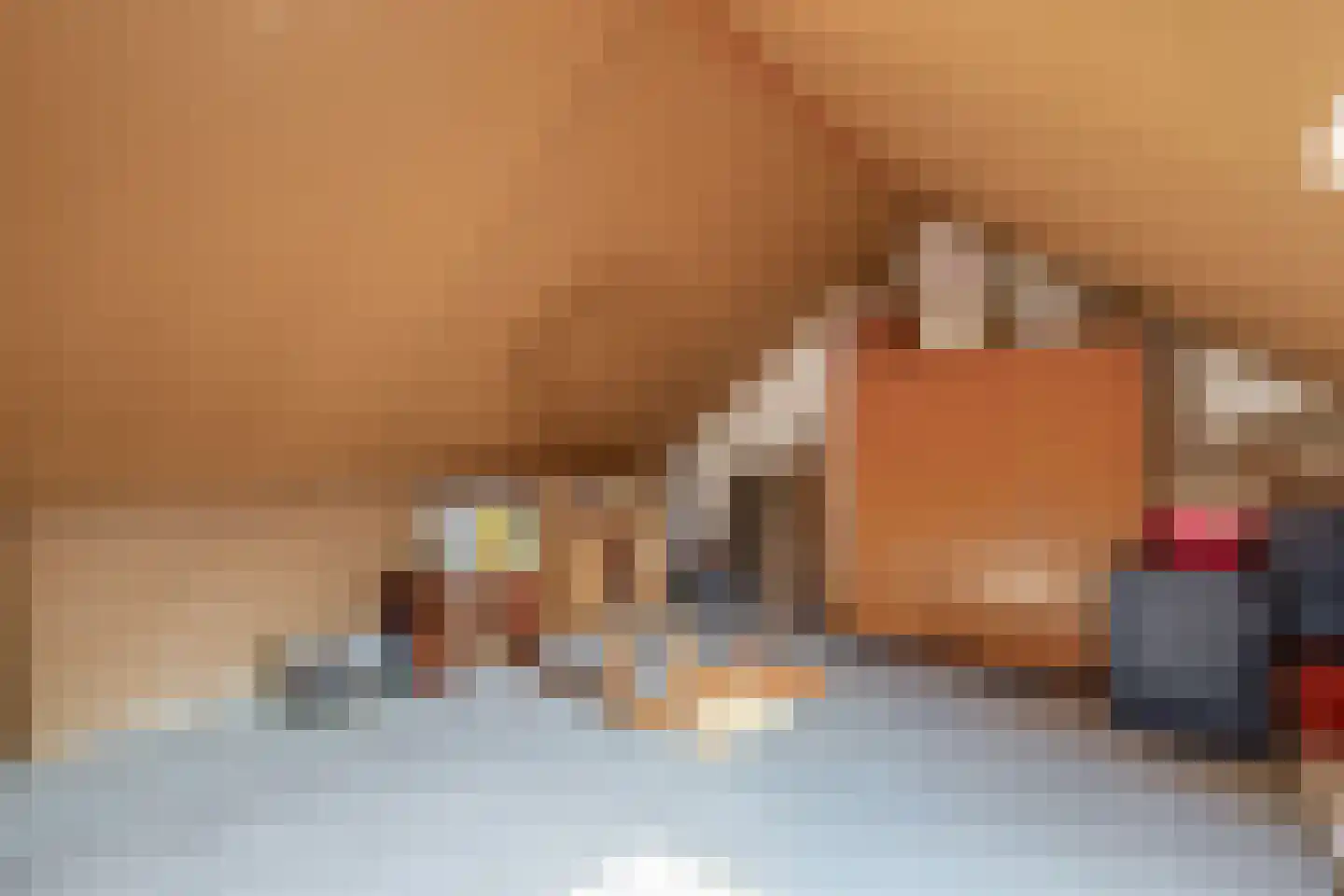 Pimpelmees 24 Sommelsdijk thumbnail 22