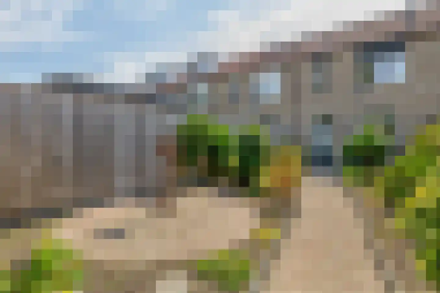 Pimpelmees 24 Sommelsdijk thumbnail 23