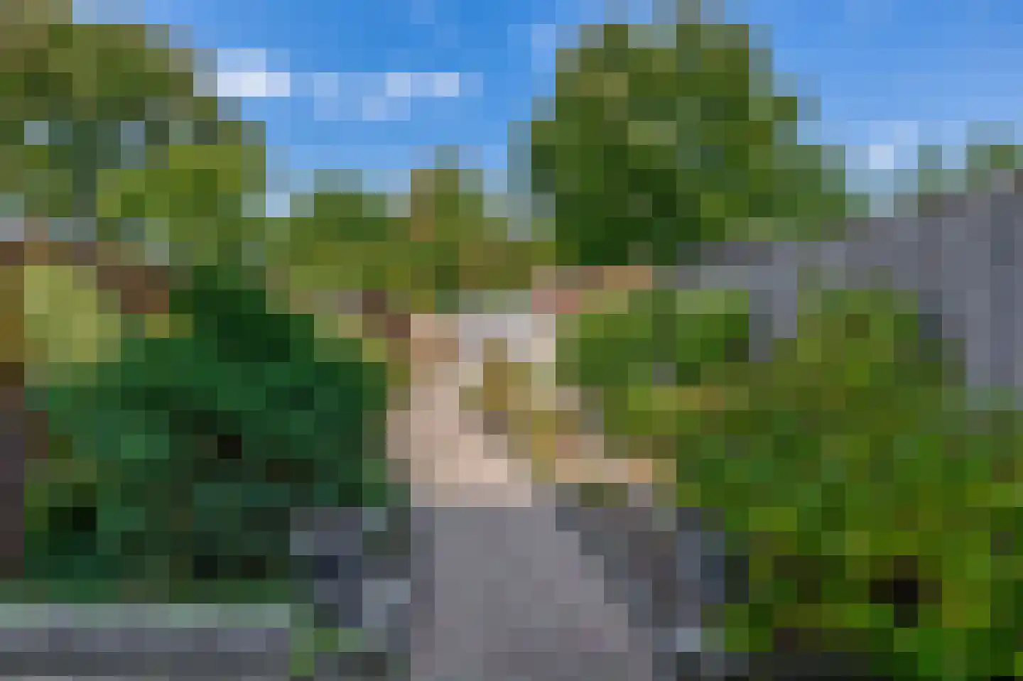Pimpelmees 24 Sommelsdijk thumbnail 24