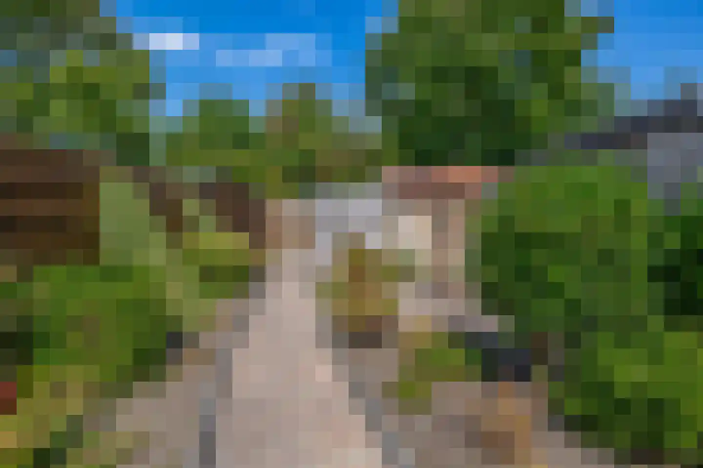 Pimpelmees 24 Sommelsdijk thumbnail 25