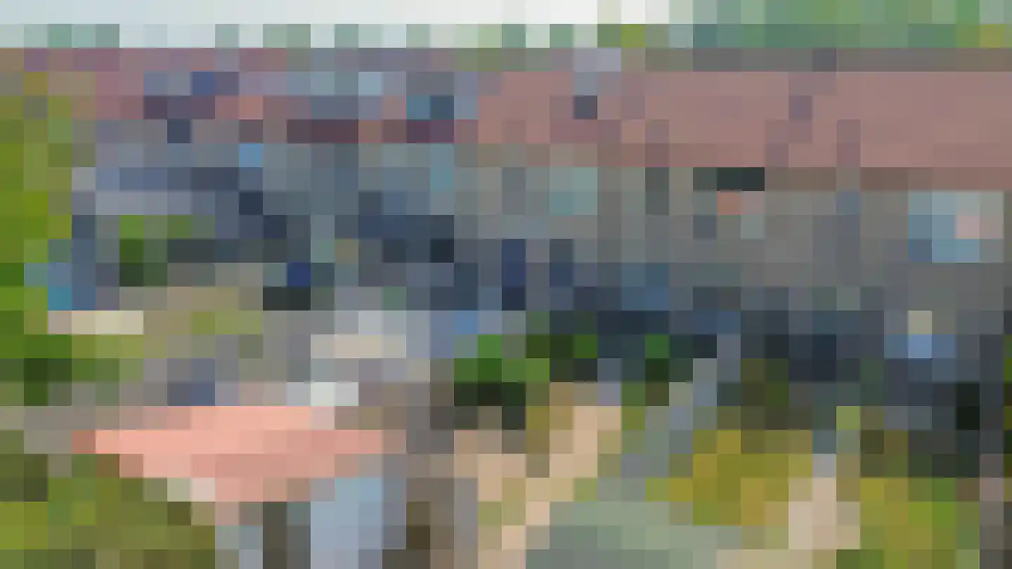 Pimpelmees 24 Sommelsdijk thumbnail 28