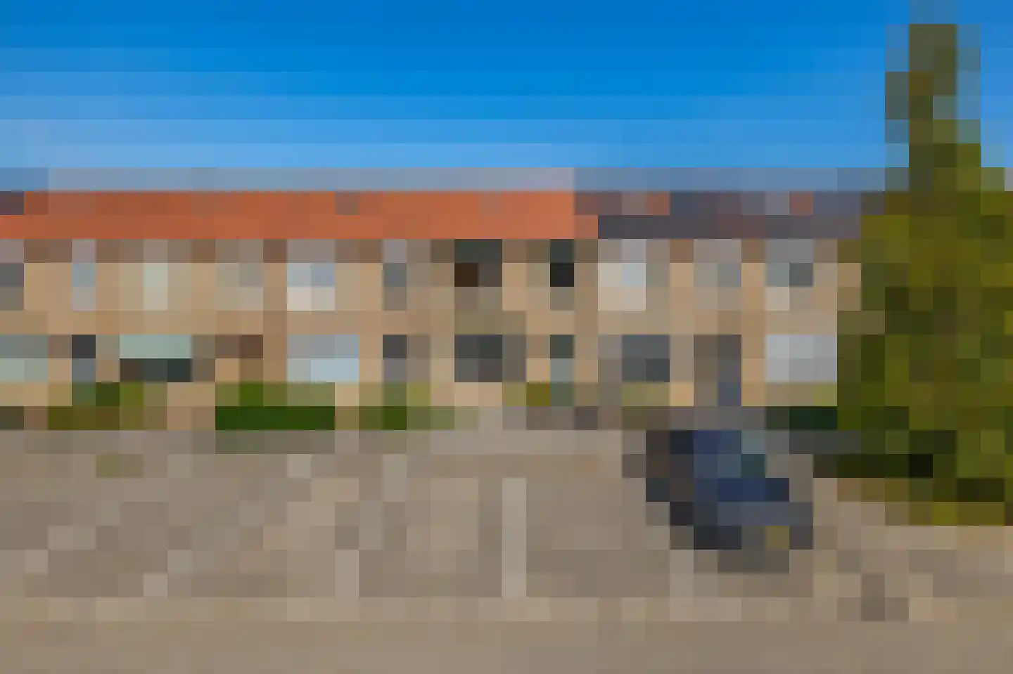 Pimpelmees 24 Sommelsdijk thumbnail 31