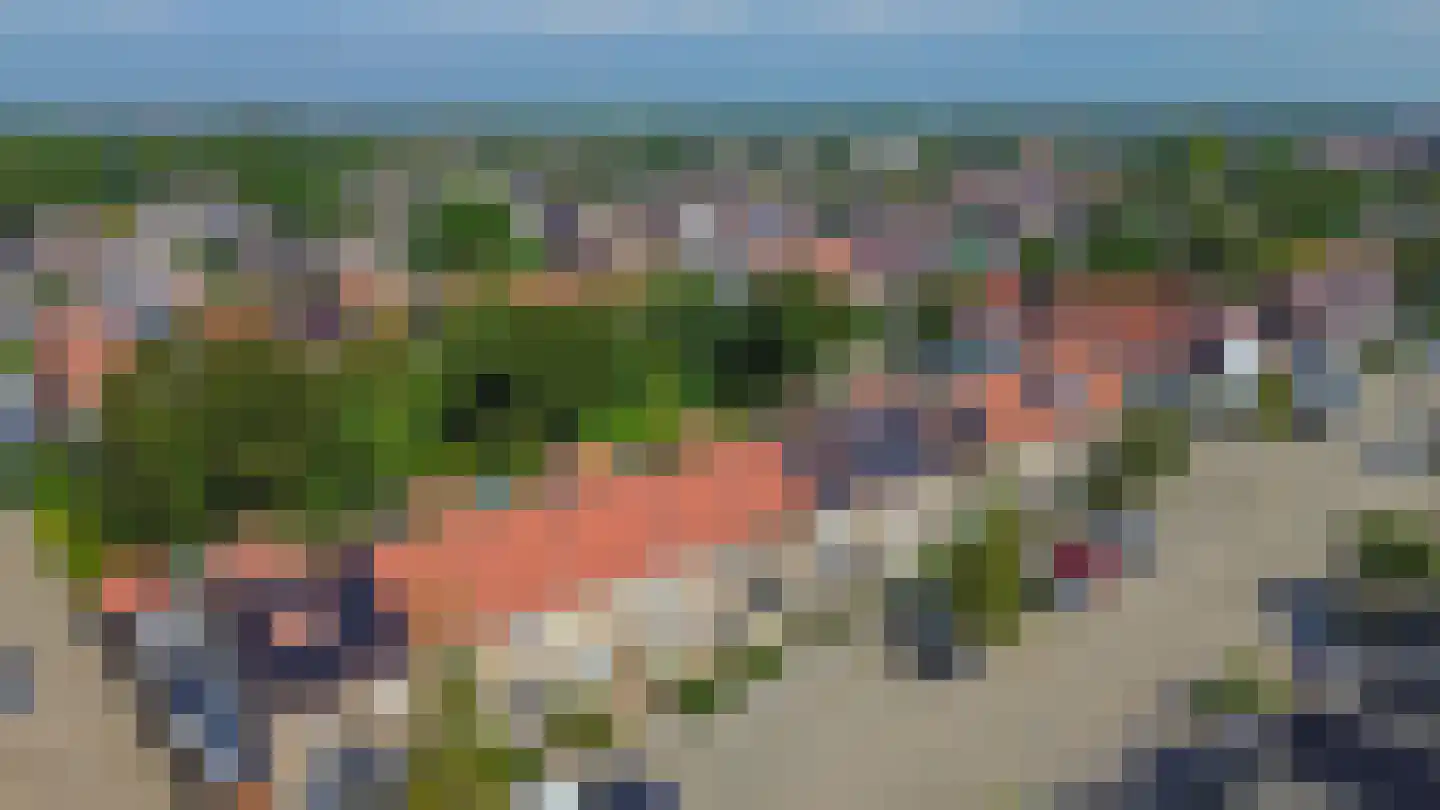 Pimpelmees 24 Sommelsdijk thumbnail 33