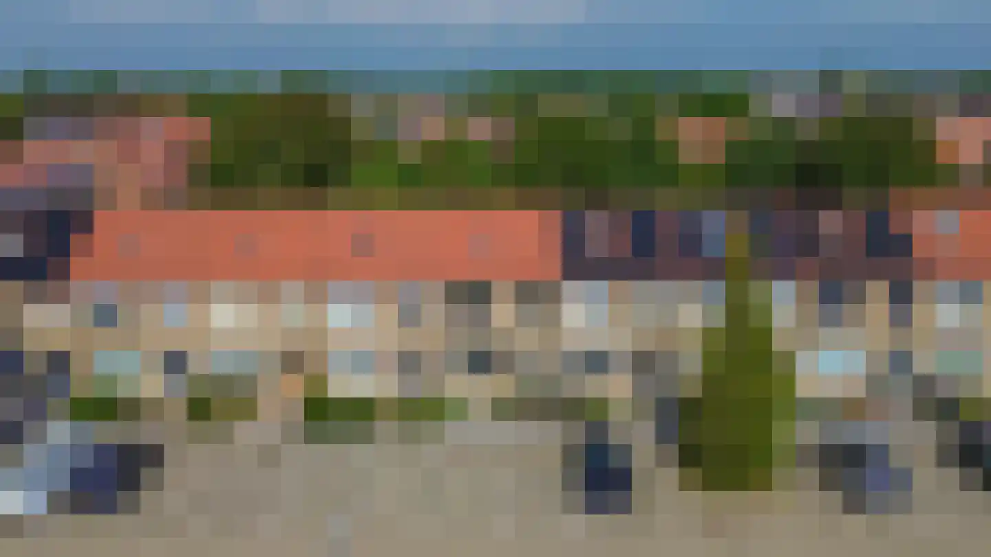 Pimpelmees 24 Sommelsdijk thumbnail 34