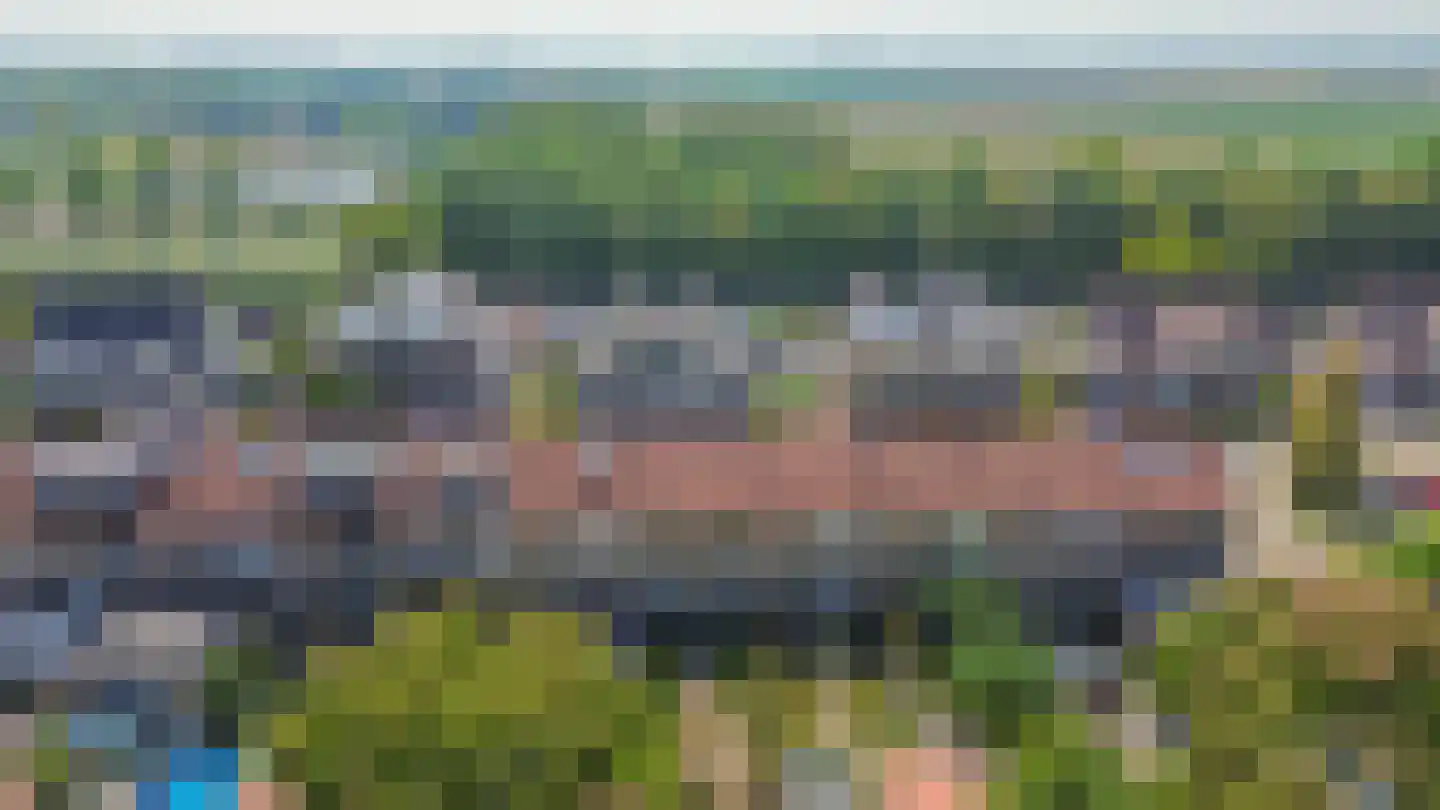 Pimpelmees 24 Sommelsdijk thumbnail 35