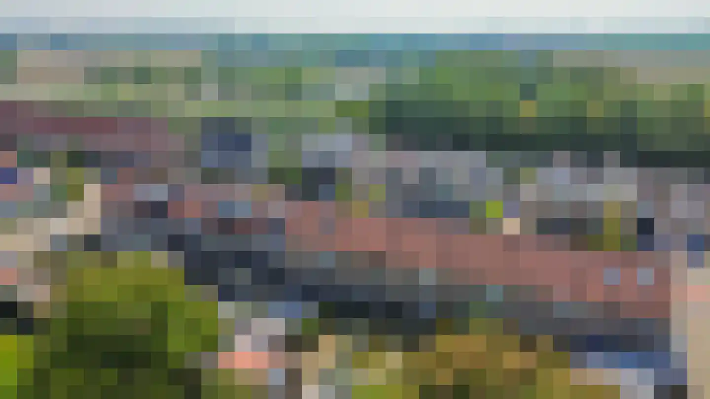 Pimpelmees 24 Sommelsdijk thumbnail 36