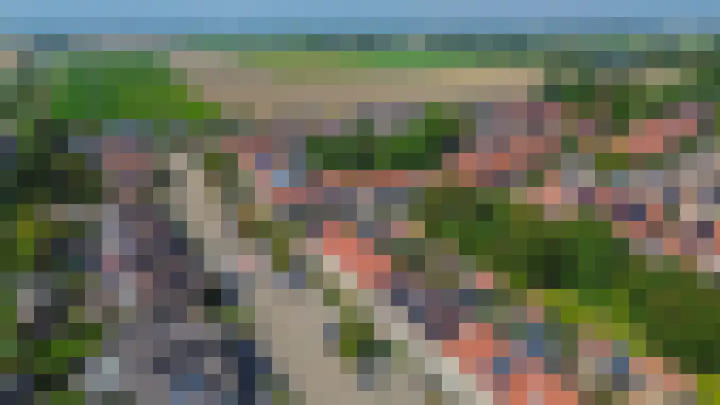 Pimpelmees 24 Sommelsdijk thumbnail 37
