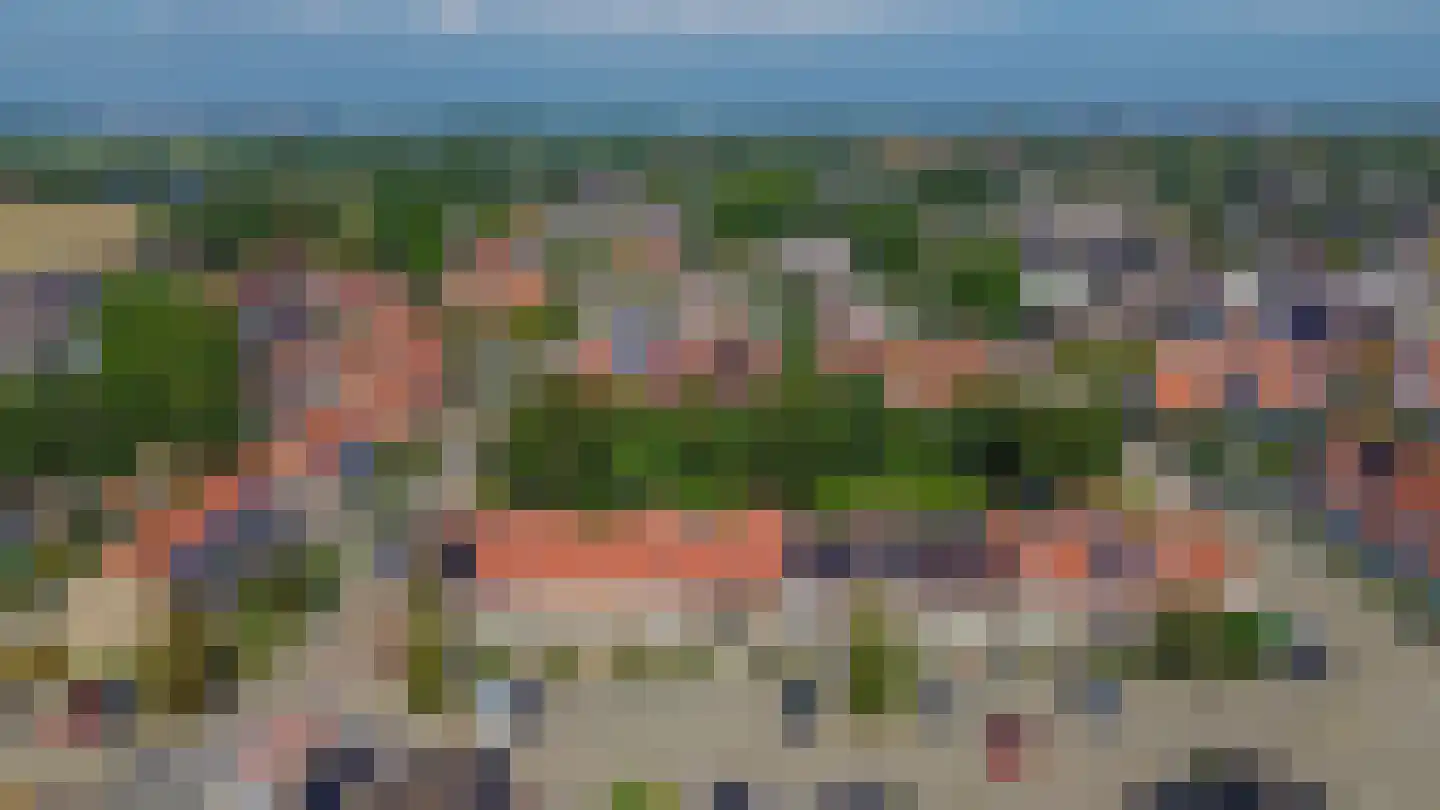 Pimpelmees 24 Sommelsdijk thumbnail 38
