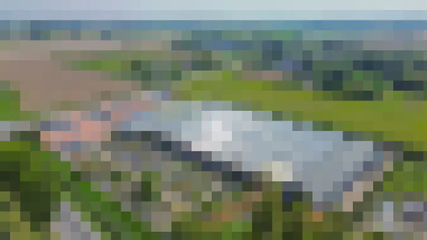 Pimpelmees 24 Sommelsdijk thumbnail 39