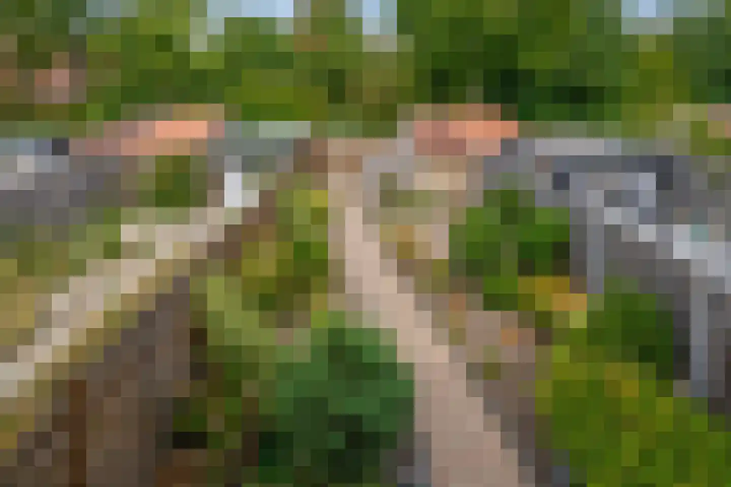 Pimpelmees 24 Sommelsdijk thumbnail 4