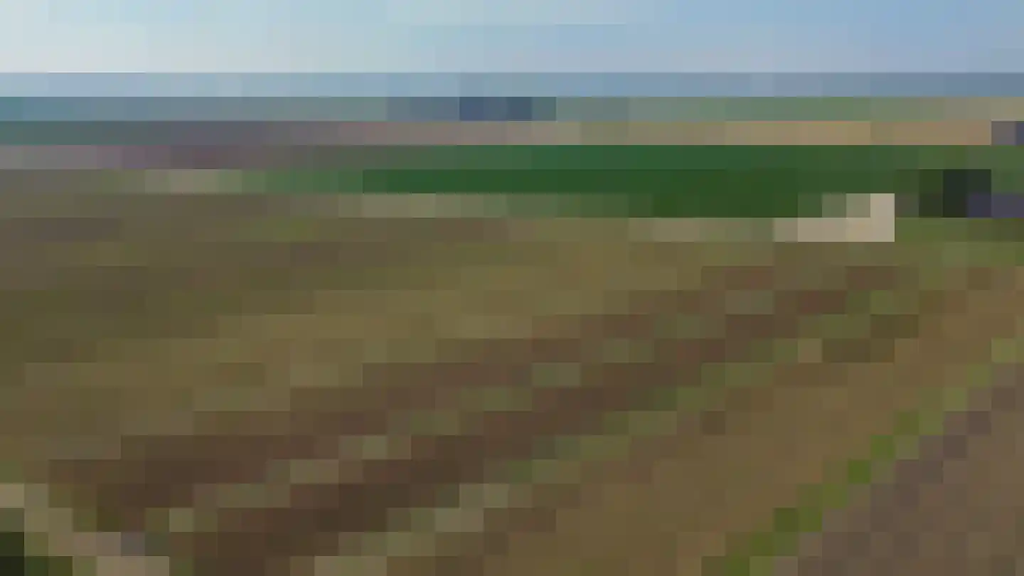 Pimpelmees 24 Sommelsdijk thumbnail 40