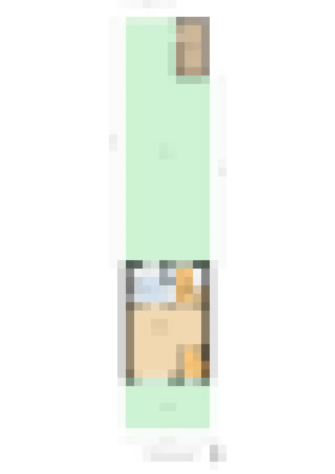 Pimpelmees 24 Sommelsdijk thumbnail 41