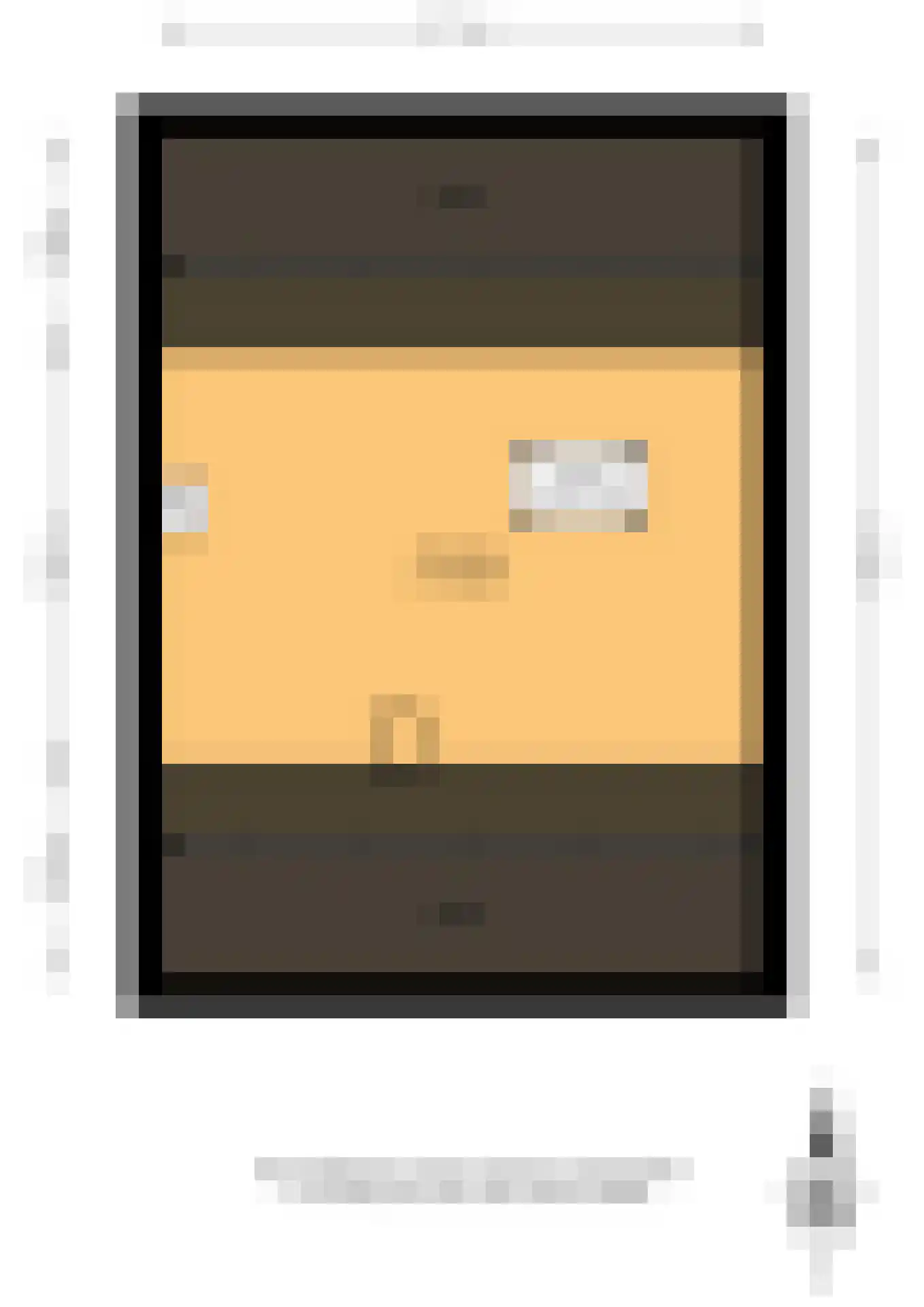 Pimpelmees 24 Sommelsdijk thumbnail 44