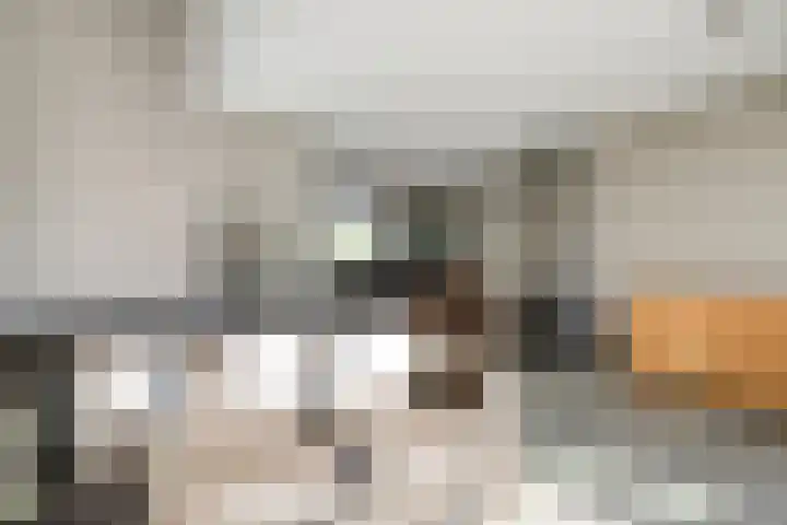 Pimpelmees 27 Hoogkarspel thumbnail 11