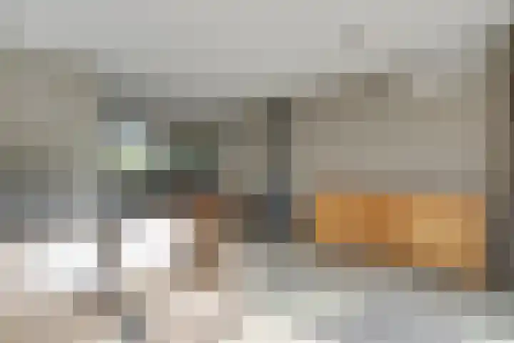 Pimpelmees 27 Hoogkarspel thumbnail 12