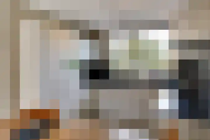 Pimpelmees 27 Hoogkarspel thumbnail 15