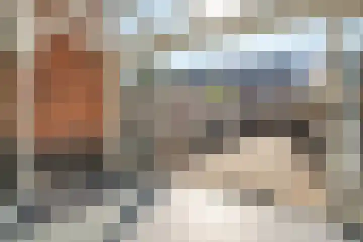 Pimpelmees 27 Hoogkarspel thumbnail 19