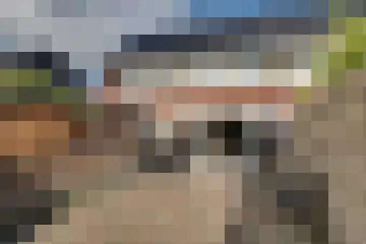 Pimpelmees 27 Hoogkarspel thumbnail 23