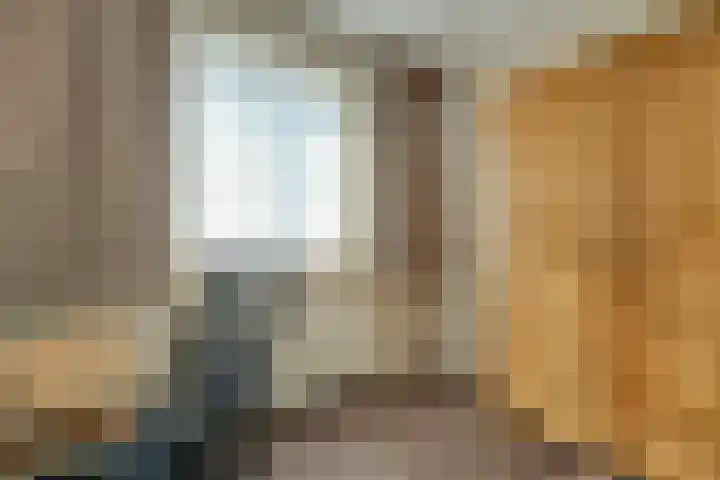 Pimpelmees 27 Hoogkarspel thumbnail 28