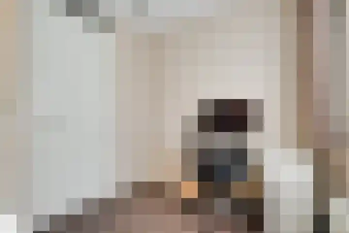 Pimpelmees 27 Hoogkarspel thumbnail 29