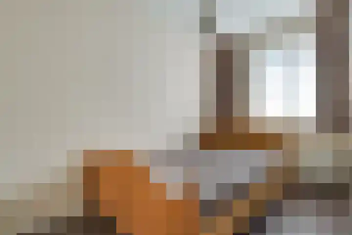 Pimpelmees 27 Hoogkarspel thumbnail 30