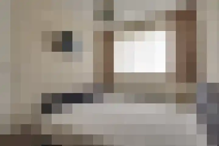 Pimpelmees 27 Hoogkarspel thumbnail 34