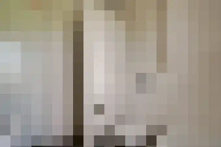 Pimpelmees 27 Hoogkarspel thumbnail 38