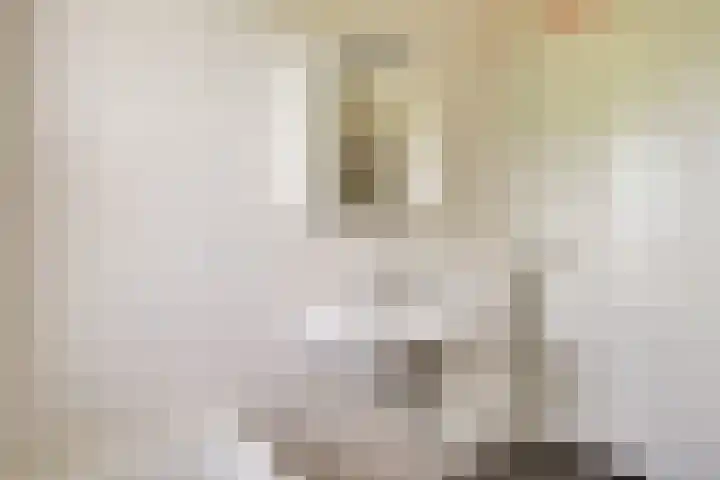 Pimpelmees 27 Hoogkarspel thumbnail 39