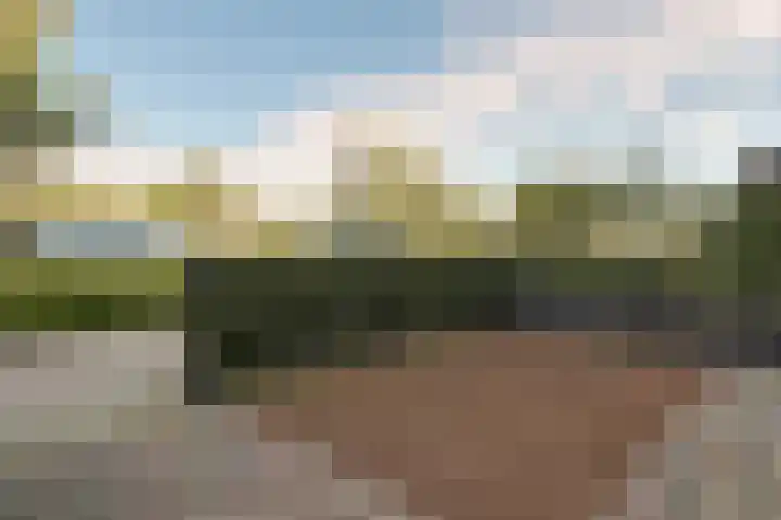 Pimpelmees 27 Hoogkarspel thumbnail 44