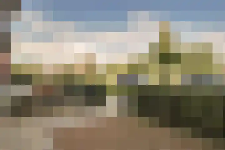 Pimpelmees 27 Hoogkarspel thumbnail 45
