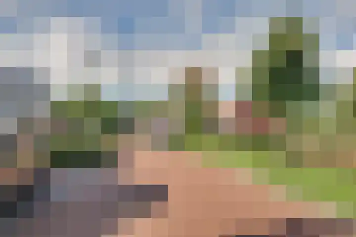 Pimpelmees 27 Hoogkarspel thumbnail 46