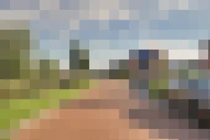 Pimpelmees 27 Hoogkarspel thumbnail 47