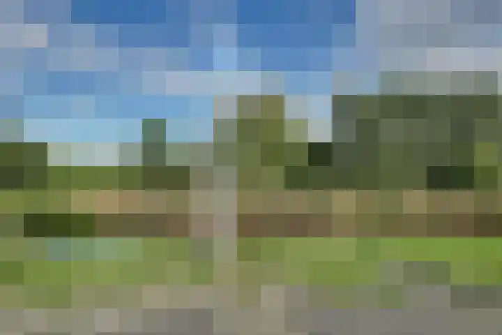Pimpelmees 27 Hoogkarspel thumbnail 48