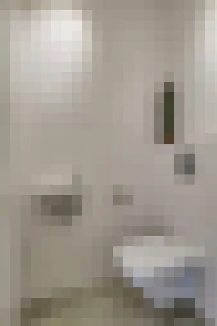 Pimpelmees 27 Hoogkarspel thumbnail 7