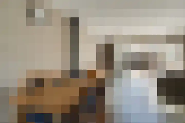 Pimpelmees 27 Hoogkarspel thumbnail 8