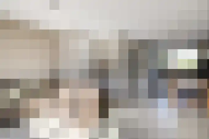 Pimpelmees 27 Hoogkarspel thumbnail 9
