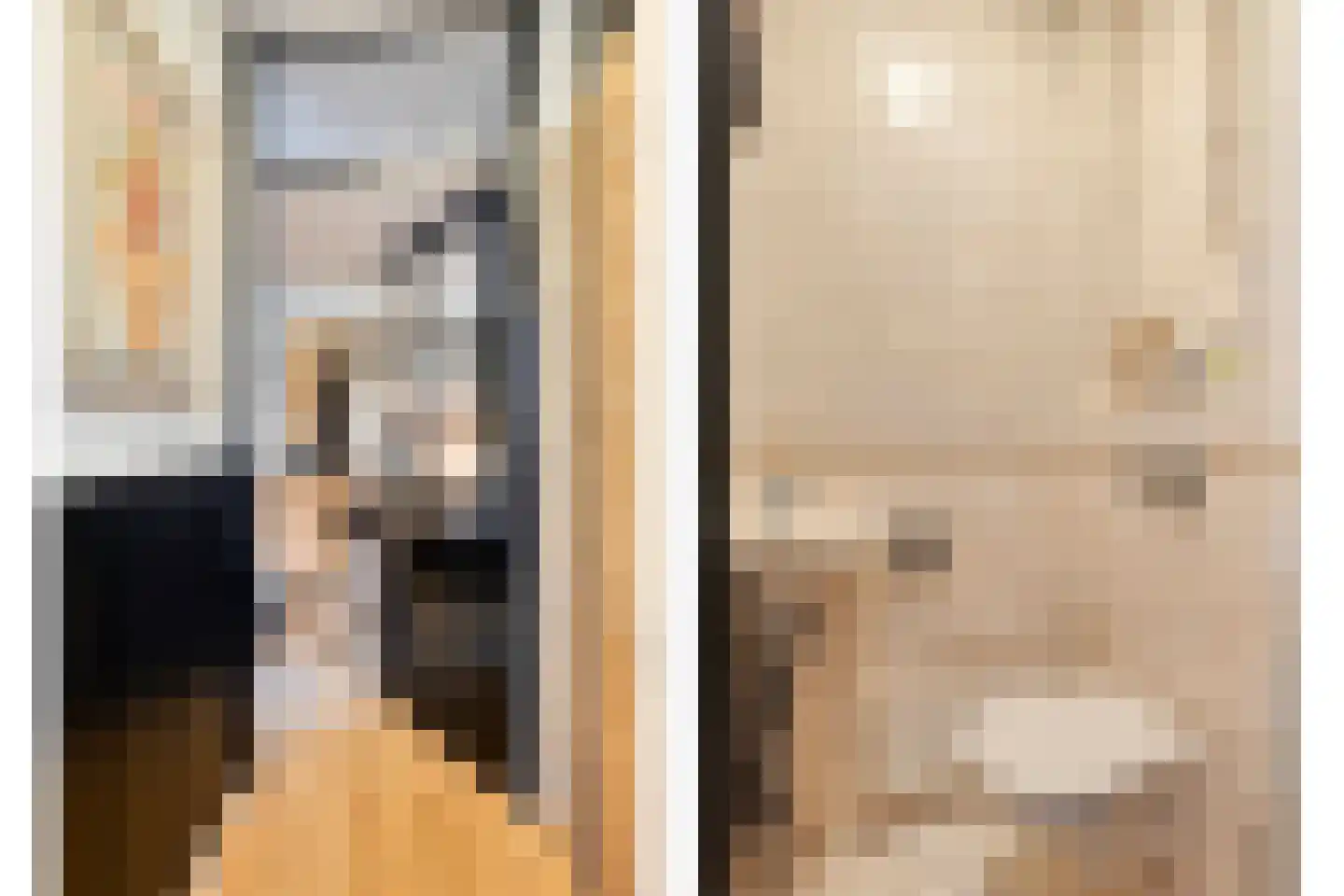 Pimpelmees 32 Sommelsdijk thumbnail 10