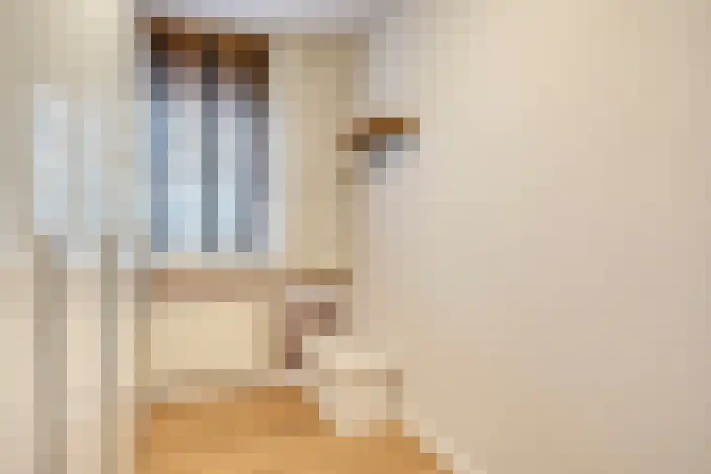 Pimpelmees 32 Sommelsdijk thumbnail 16