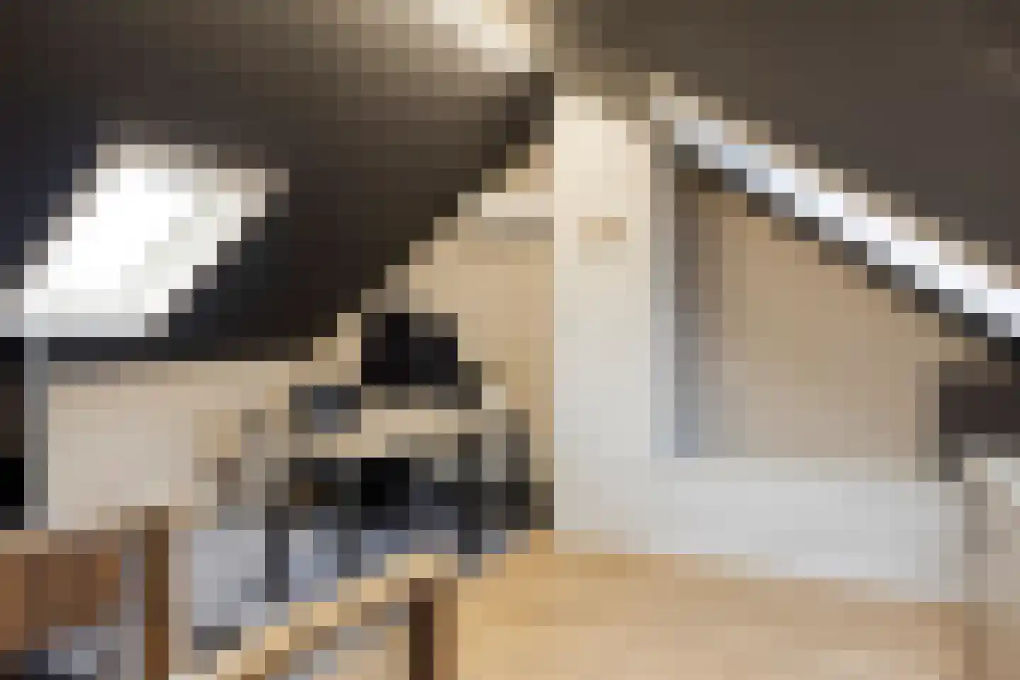 Pimpelmees 32 Sommelsdijk thumbnail 18