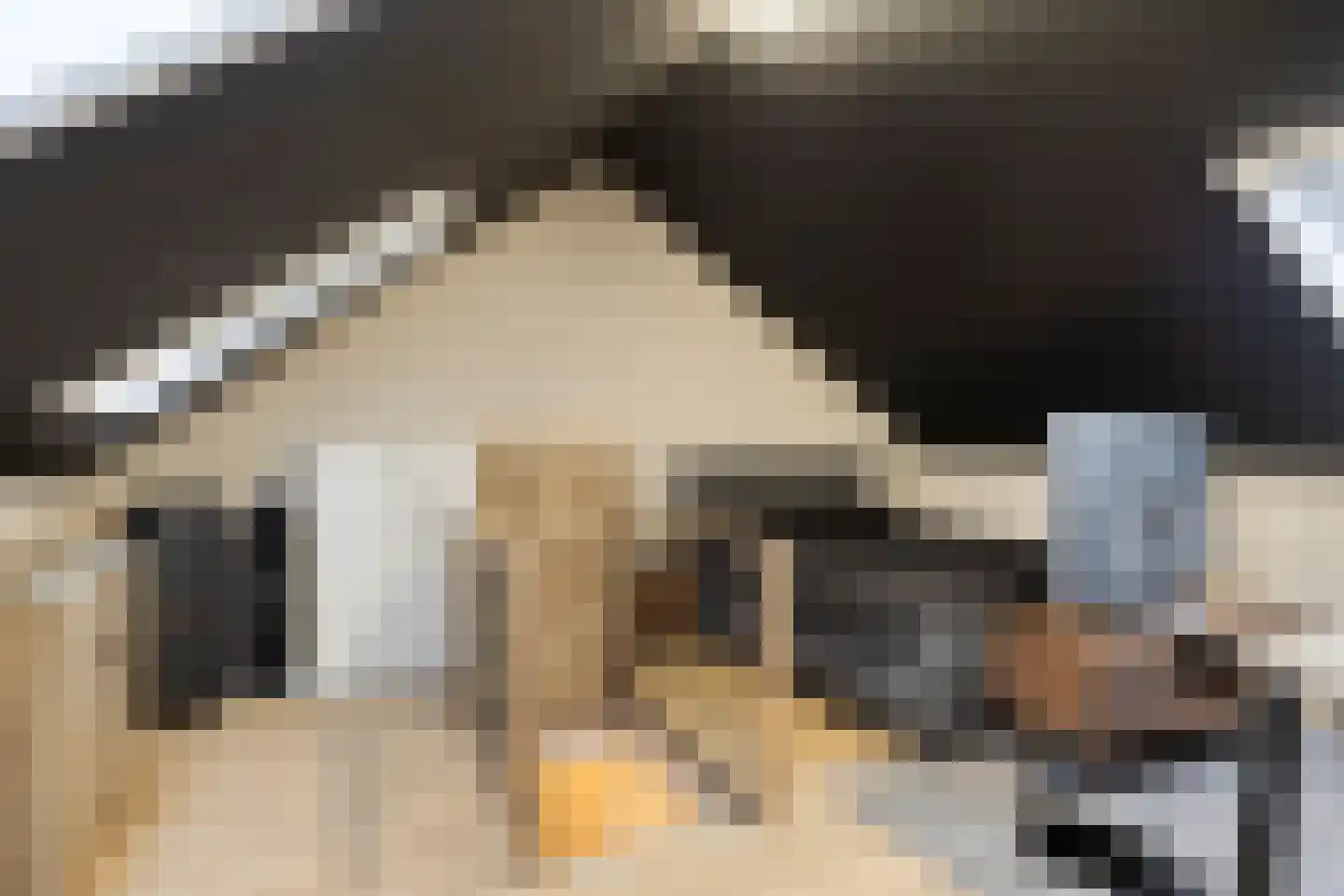 Pimpelmees 32 Sommelsdijk thumbnail 19